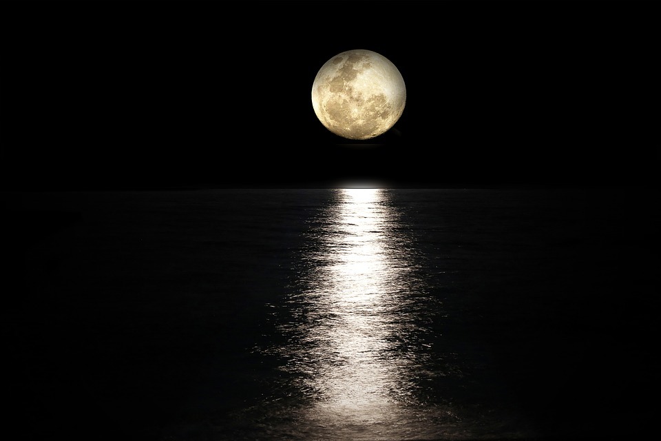 Moon calendar | JAM SEAFOODS EU B.V.